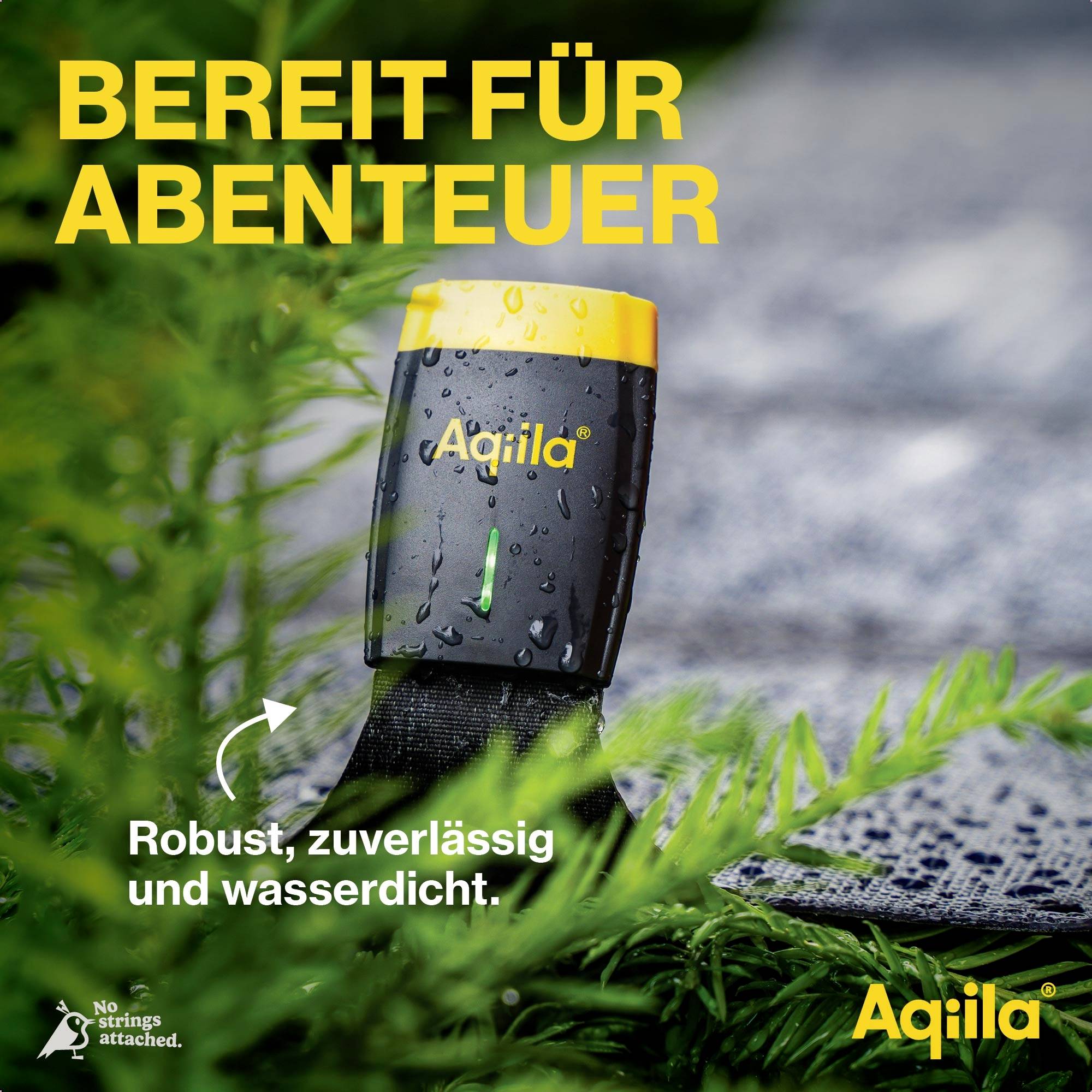 Ein Outdoor-Gerät mit der Aufschrift 'Aqiila', umgeben von Gräsern. Text: 'Bereit für Abenteuer'. Robust, zuverlässig und wasserdicht.