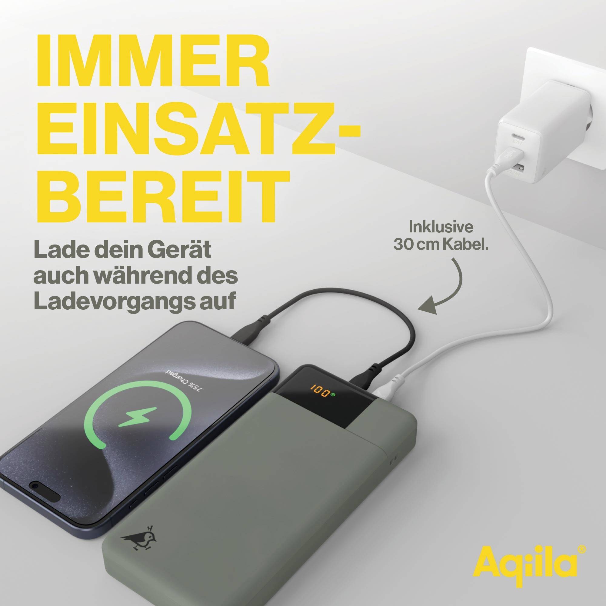 'Immer einsatzbereit. Lade dein Gerät während des Ladevorgangs auf.' Ein Smartphone wird mit einer Powerbank geladen.