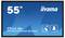 Iiyama ProLite 55" Interaktiv-Display, Modell TF5539AS-B1AG, mit 40-Punkt-Touchfunktion, auf blauem Hintergrund dargestellt.