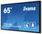 'ProLite TF6539AS-B1AG' 65-Zoll-Display von iiyama, verfügt über Multi-Touch-Funktionalität für bis zu 40 Benutzer, entwickelt für interaktive Anwendungen.