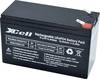 XCell LFP129 Spezial-Akku LiFePo-Block Flachstecker LiFePO 4 12.8 V 9 Ah 1 St.