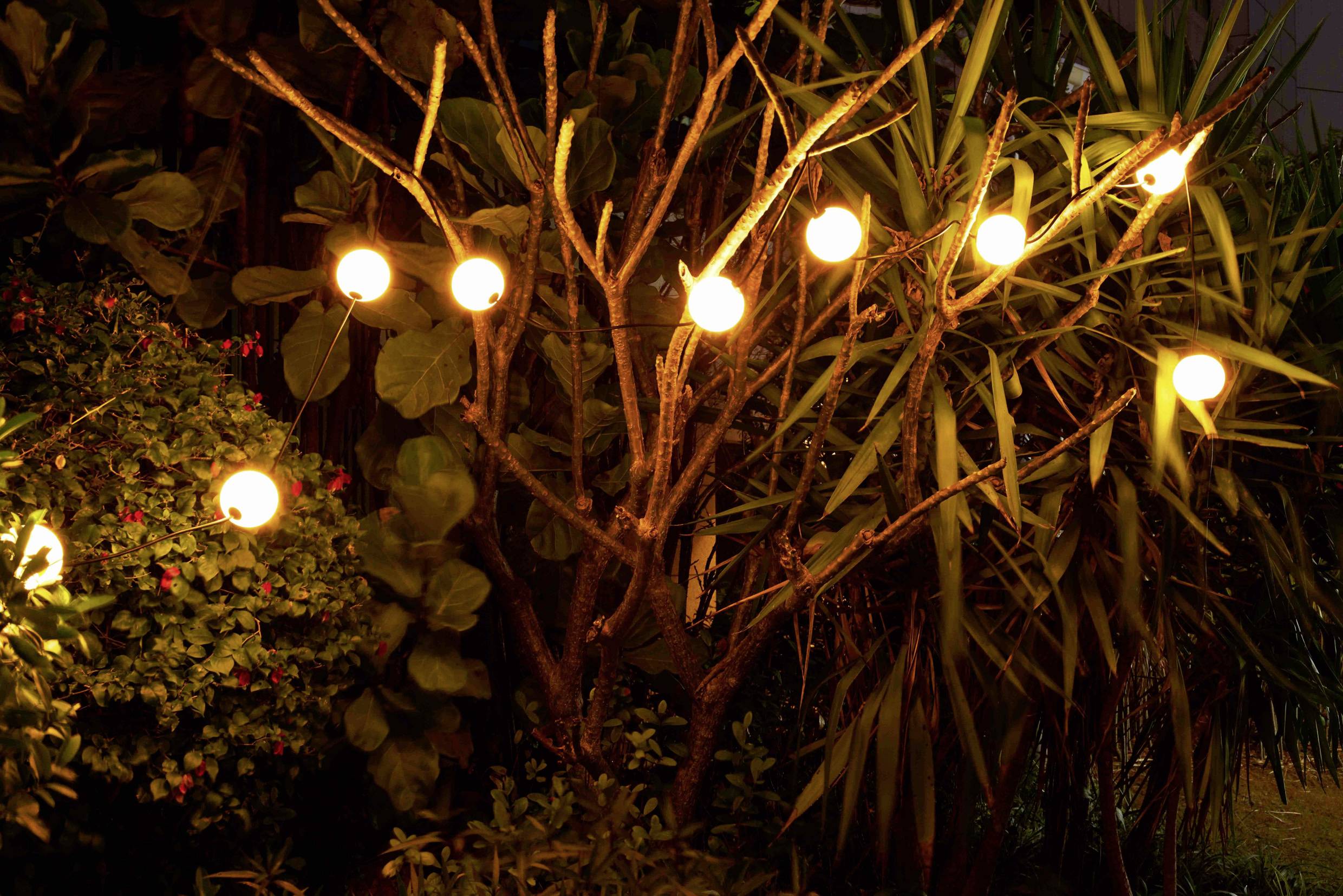 Lichterkette mit warmem Licht erhellt einen Garten mit üppigen Pflanzen bei Nacht.