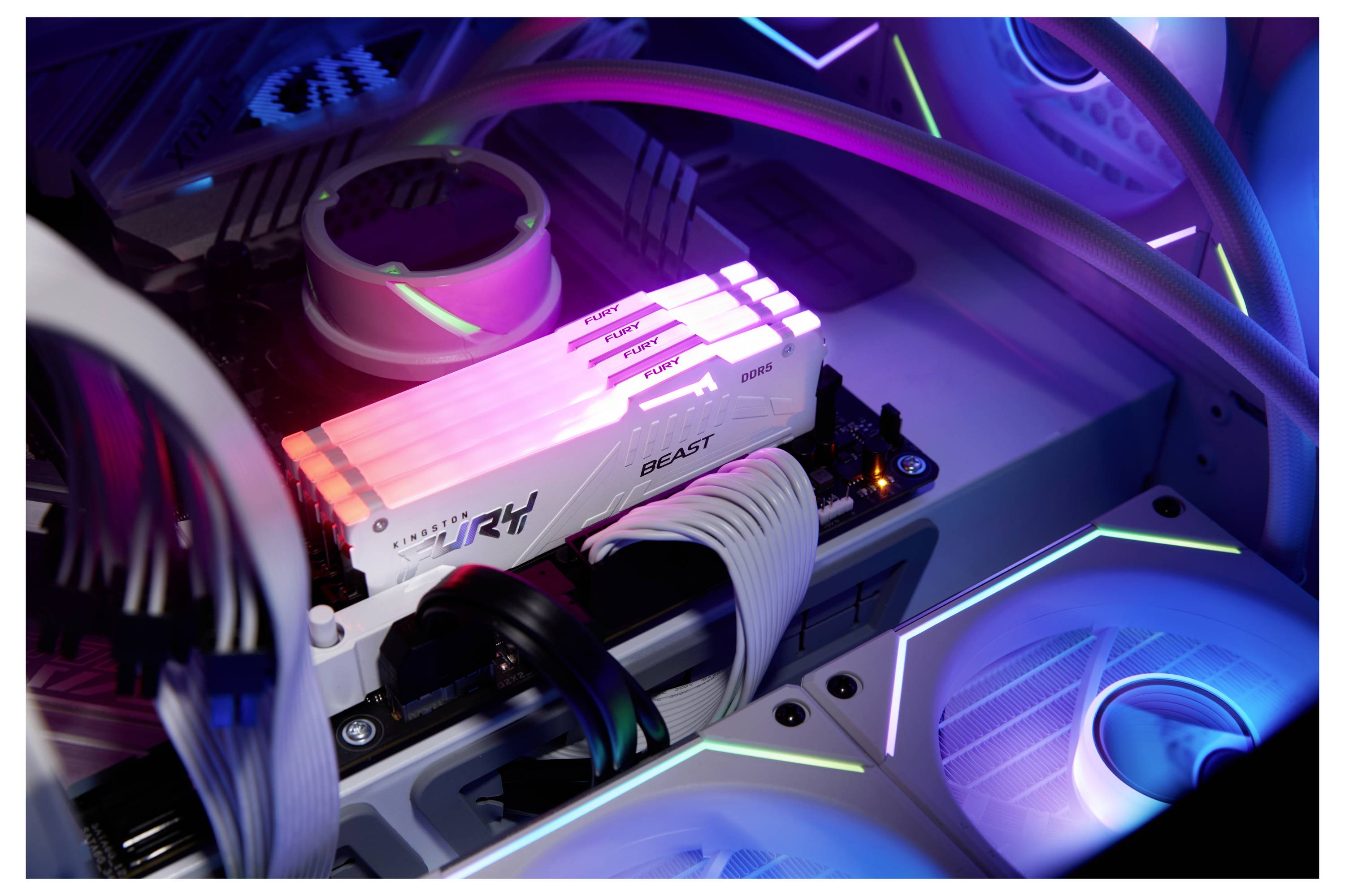 Ein beleuchtetes Computer-Innenleben mit RGB-LED-Lichtern auf RAM-Modulen und Ventilatoren, die für Gaming oder Hochleistung konfiguriert sind.