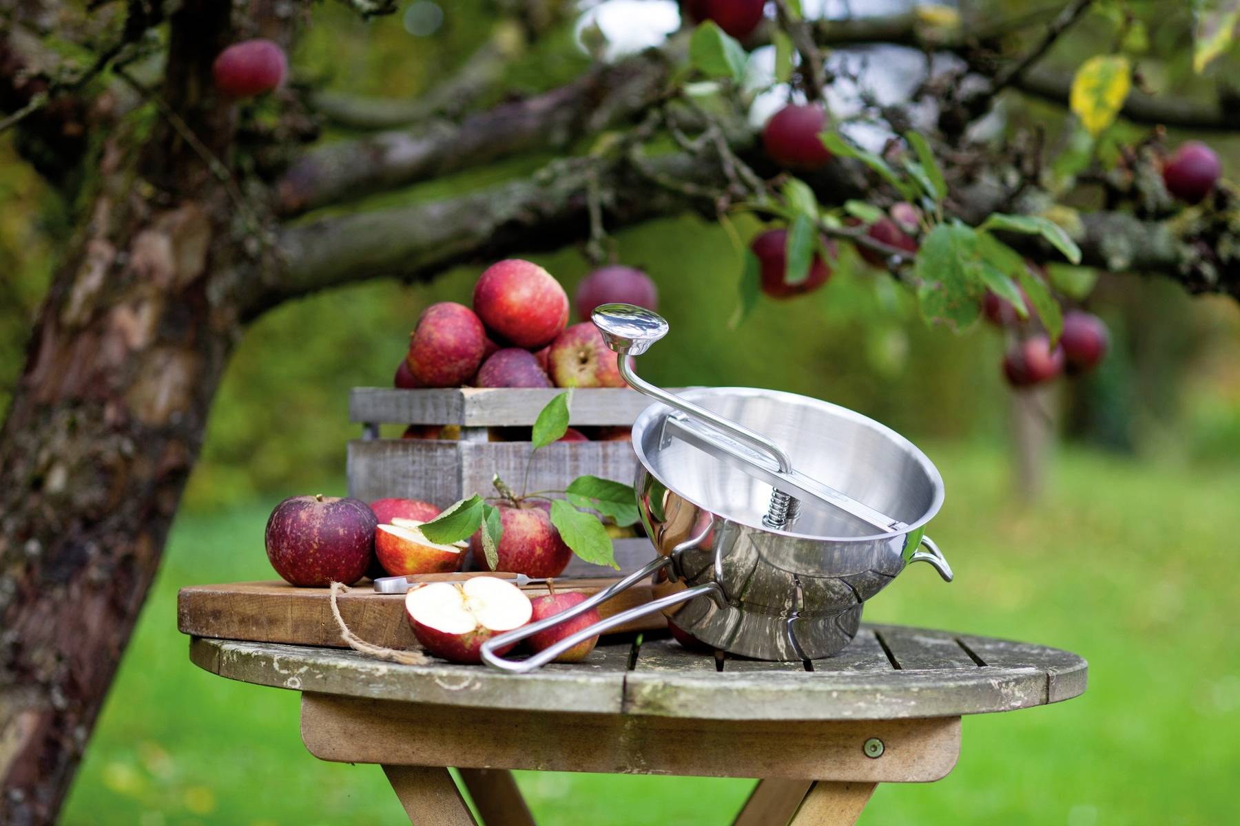'Äpfel in einem Korb auf einem Holztisch, daneben eine Metallmühle. Im Hintergrund ein Apfelbaum im Garten.'