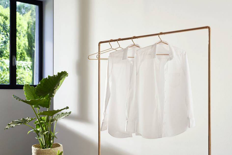 Weiße Hemden hängen auf einem Kupferkleiderständer neben einem großen grünen Blattpflanzen in einem hellen Raum mit Fenster.