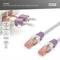 Ein Bild von RJ45-Kabeln mit violetten Clips, die 'Color Clips for RJ45 Cable, 100x Magenta RAL 4006' anzeigen. Markenname 'DIGITUS'.
