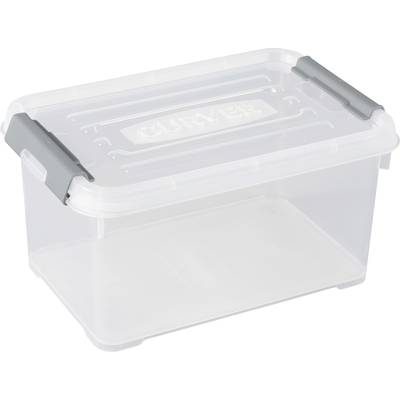 Durchsichtige Plastik-Aufbewahrungsbox mit grauen Clips an den Seiten und einem erhabenen Logo auf dem Deckel.