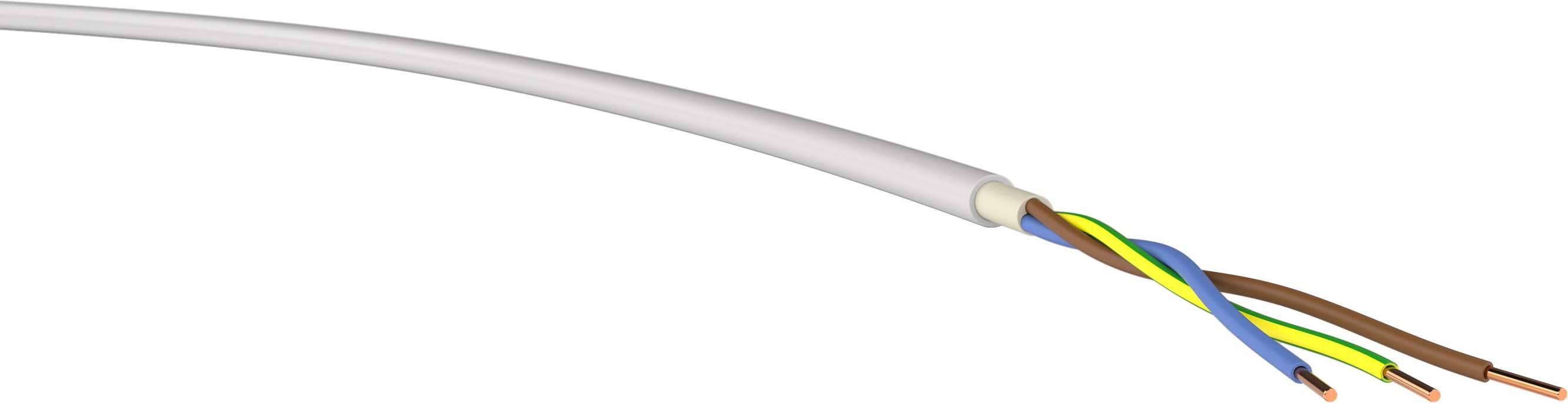 Ein abgeschnittener Teil eines elektrischen Kabels mit drei farbigen Drähten: blau, braun und gelb-grün.