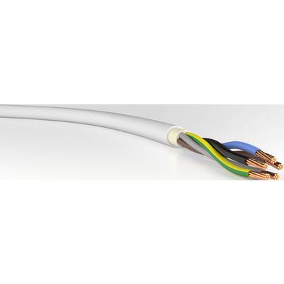 VER NYM-J 5x10 Eca Ri.50 Energieleitung NYM-J 5 x 10 mm² Grau 50 m