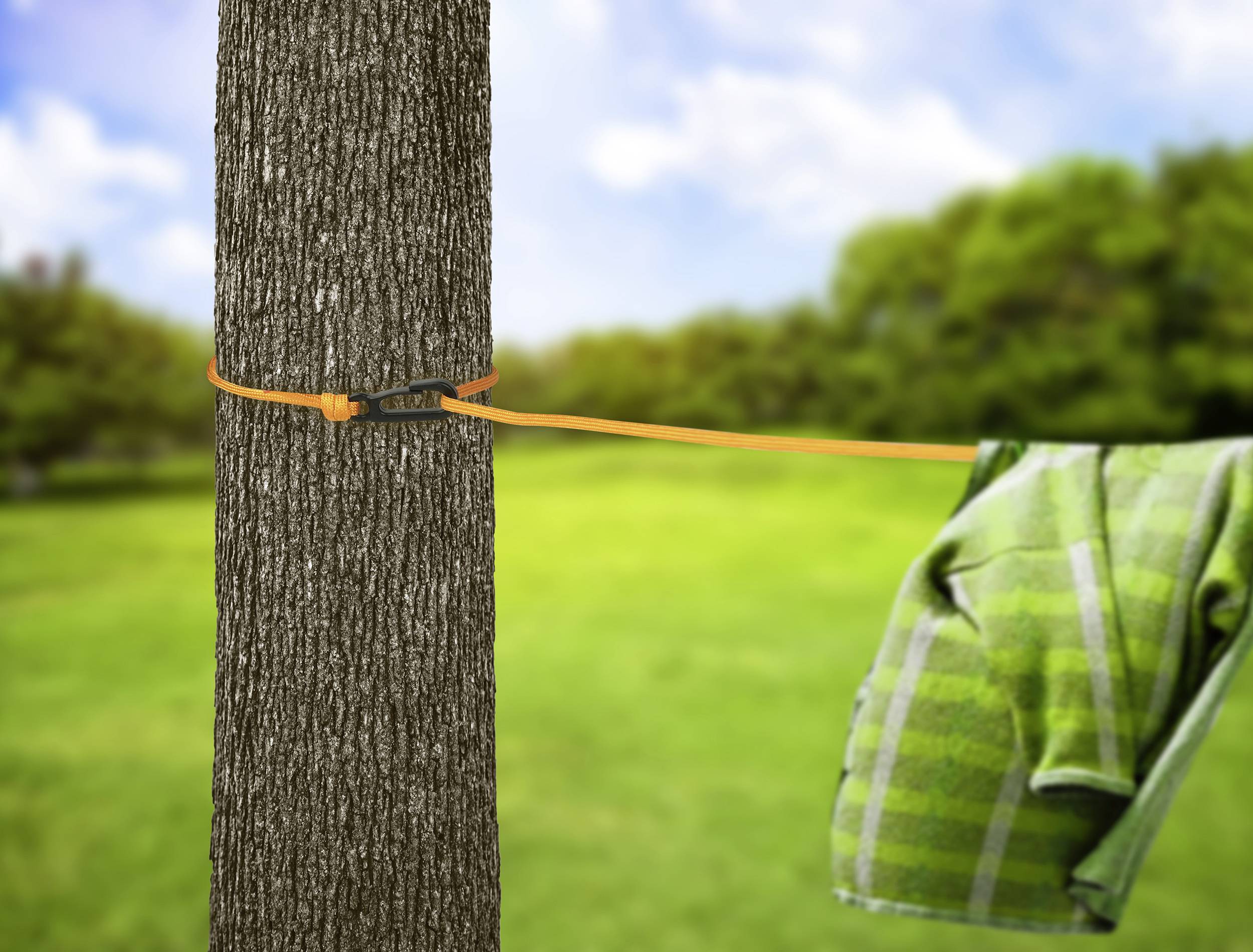 Ein Baum im Freien mit einem orangenen Seil, das um den Stamm gewickelt ist. An dem Seil hängt ein grünes Hemd. Wiese und Bäume im Hintergrund.