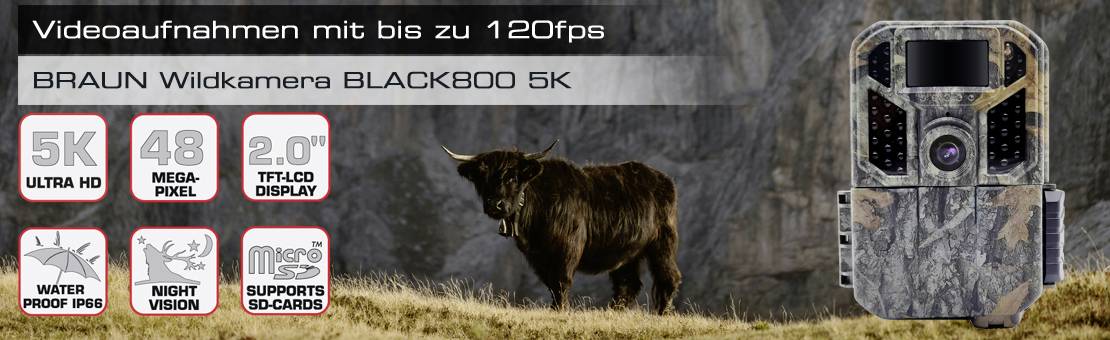 Eine Wildkamera und ein Büffel. Links technische Details: '5K Ultra HD', '48 Megapixel', 'Wasserdicht', 'Nachtsicht', '2,0" TFT LCD', 'Unterstützt SD-Karten'.