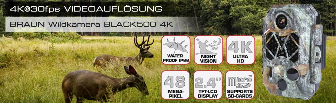 Wildkamera-Werbung mit zwei Rehen im Wald, Kamera-Abbildung und Symbolen: wasserdicht, Nachtsicht, 4K UHD, 48 MP, 2,4" Display, Mikro-SD-Support.