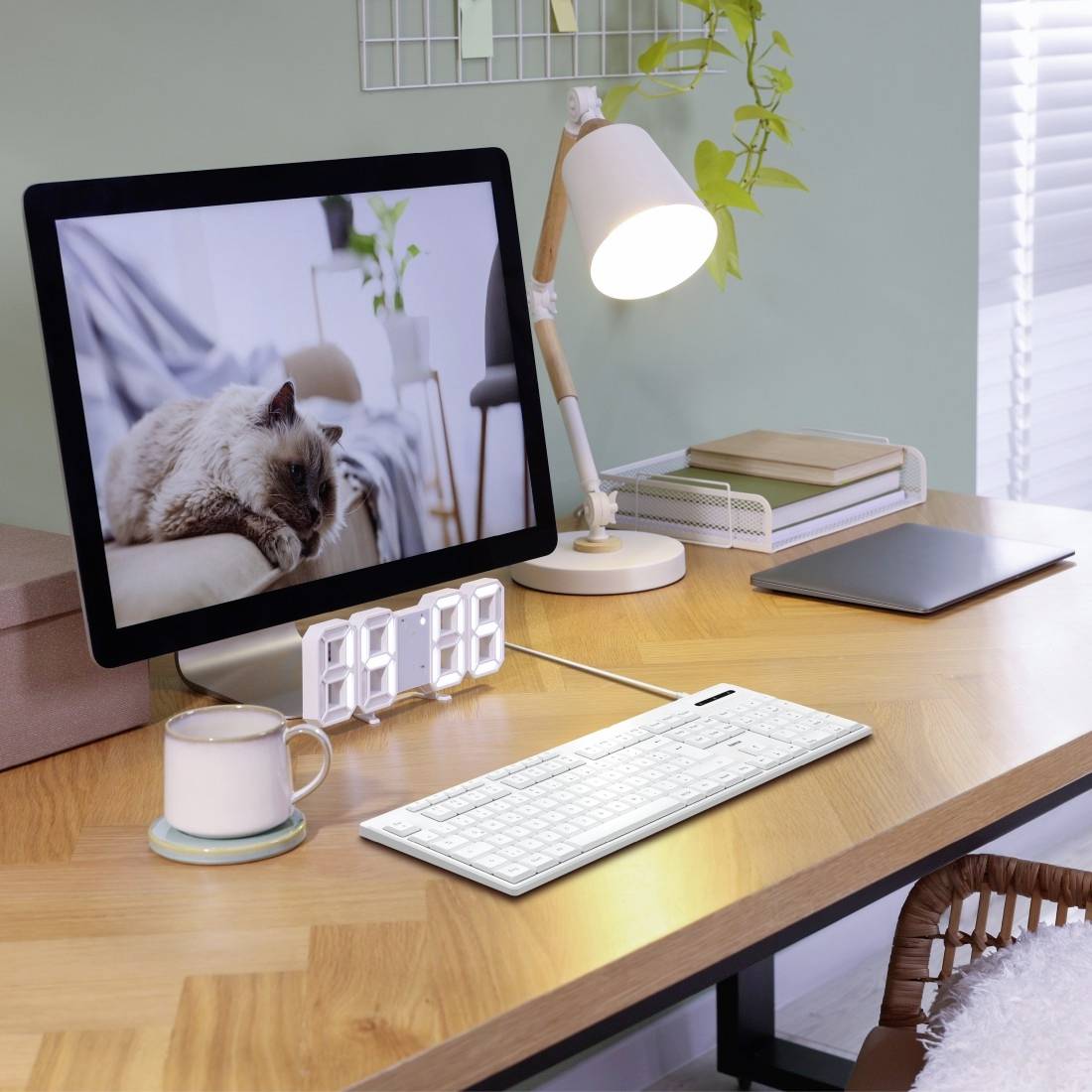 Ein moderner Schreibtisch mit einem Computerbildschirm, der eine schlafende Katze zeigt. Daneben eine Lampe, Tastatur und Notizbücher.