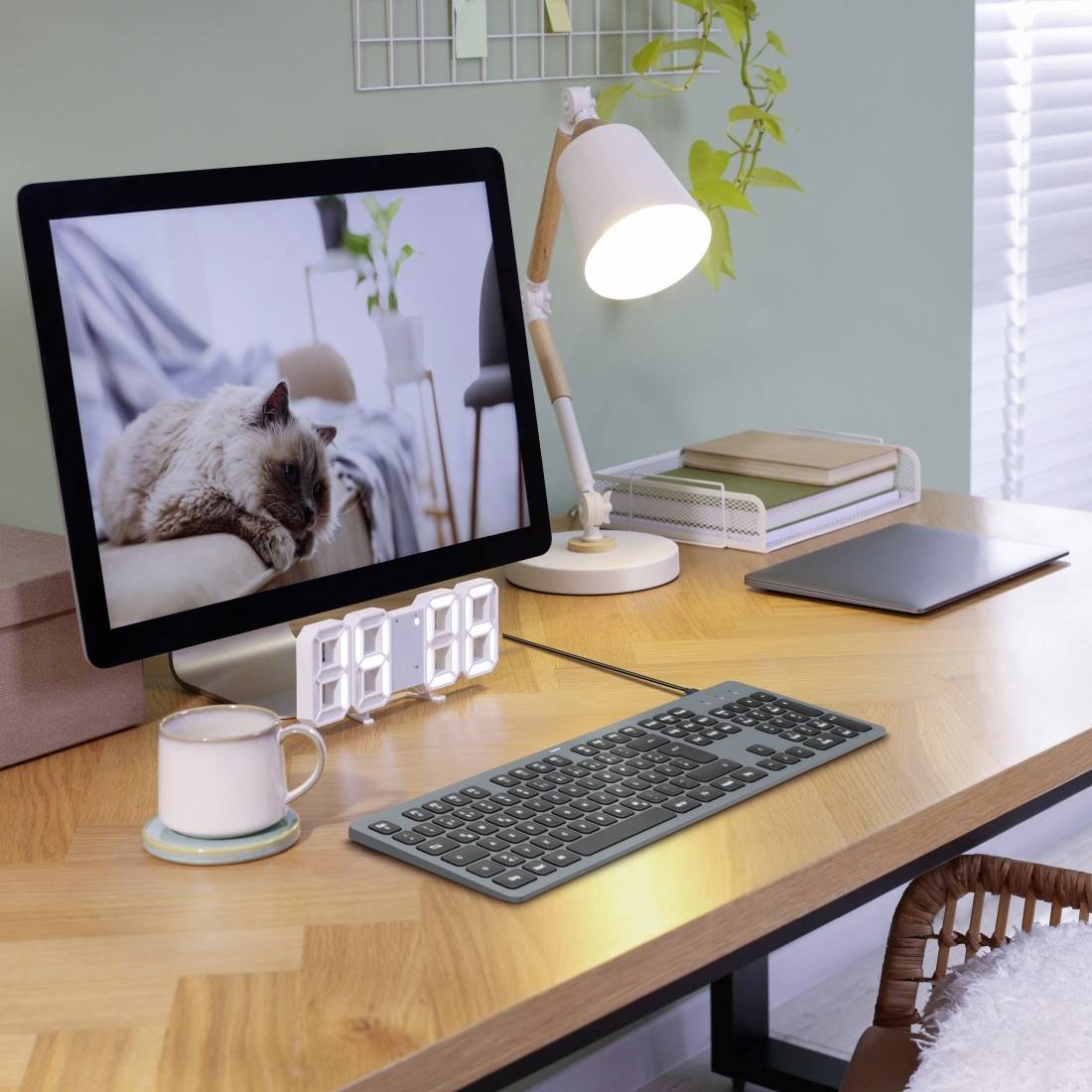 Ein Schreibtisch mit einem Computerbildschirm, der eine Katze zeigt. Auf dem Tisch befindet sich eine Lampe, eine Tasse und eine Tastatur.