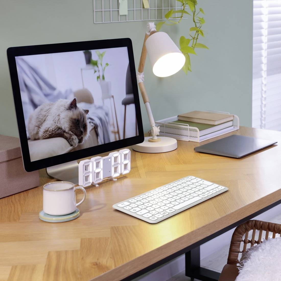 Ein Schreibtisch mit einem Computerbildschirm, der eine schlafende Katze zeigt. Daneben stehen eine Lampe, eine Tasse und eine Tastatur.