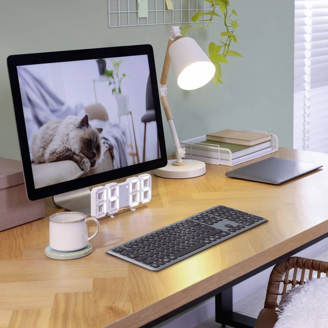 Moderner Schreibtisch mit Computer, Tastatur, Lampe, Notizbüchern und einer Pflanze. Der Bildschirm zeigt ein Bild einer Katze.
