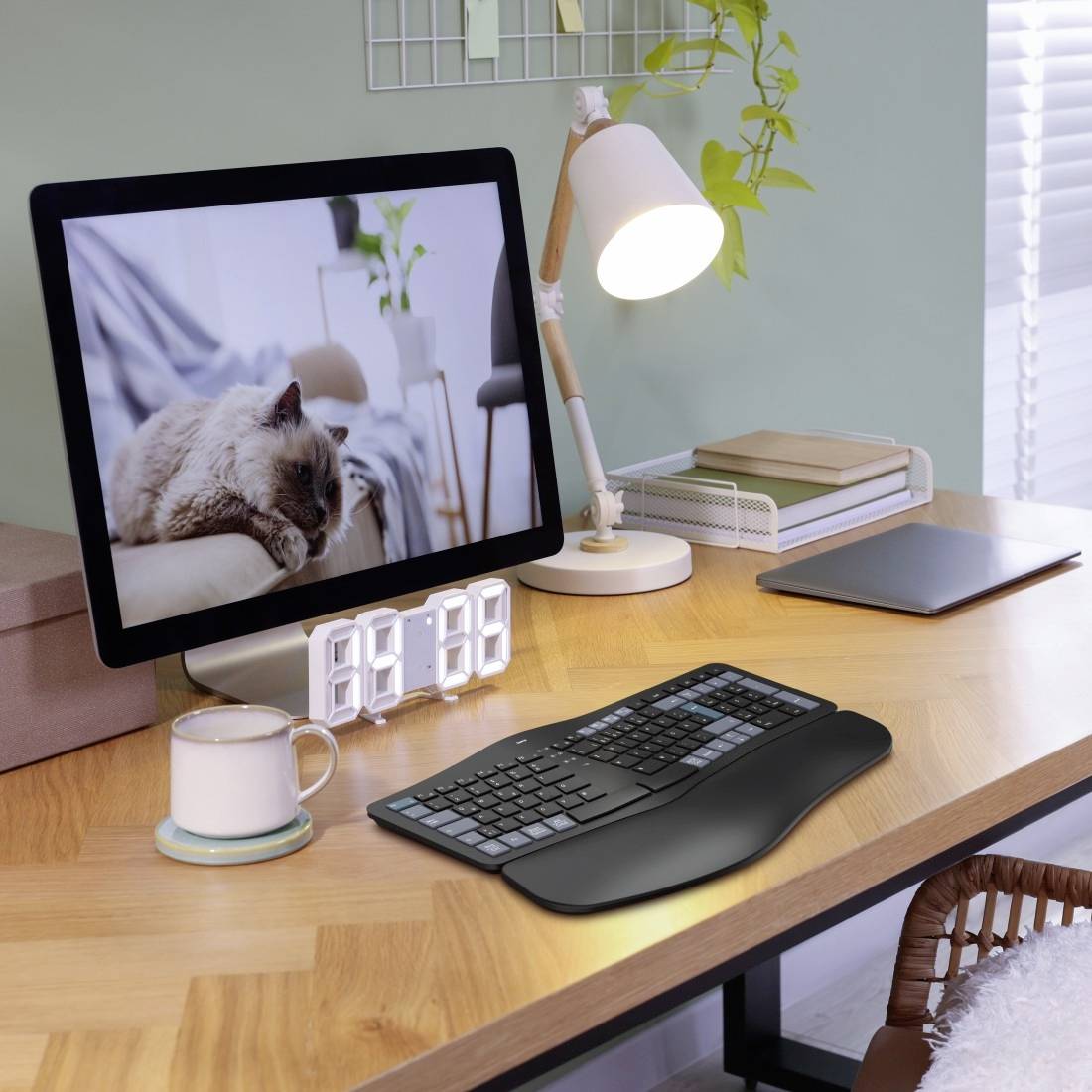 Ein aufgeräumter Schreibtisch mit Computer, auf dem Bildschirm ein Foto einer schlafenden Katze; daneben eine Lampe und eine Kaffeetasse.