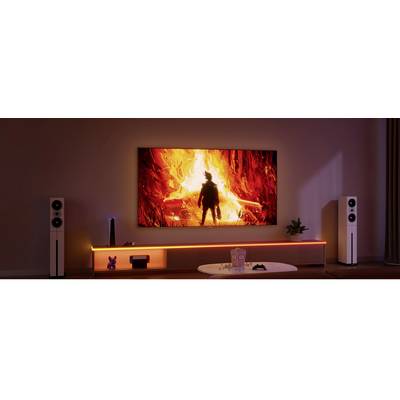 Ein Wohnzimmer mit Heimkino-Setup: Ein großer Fernseher zeigt eine brennende Filmszene, umgeben von Lautsprechern, Pflanzen, und einem langen Regal.