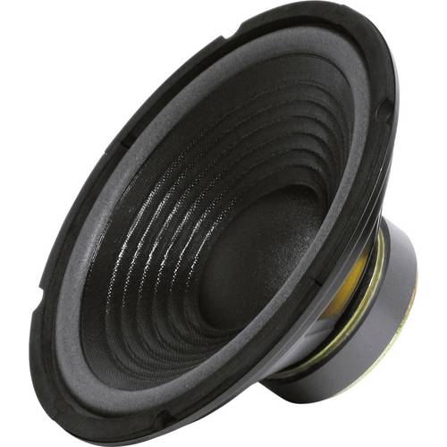 Sintron 203376 25 cm PA-Subwoofer 200 W 8 Ω