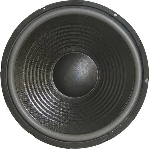 Sintron 203377 30 cm PA-Subwoofer 300 W 8 Ω