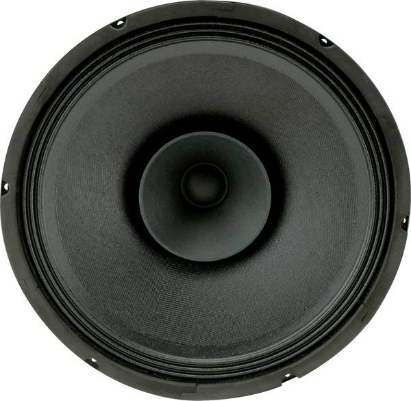 Sintron 201011  30 cm Breitbänder 120 W 8 Ω Schwarz