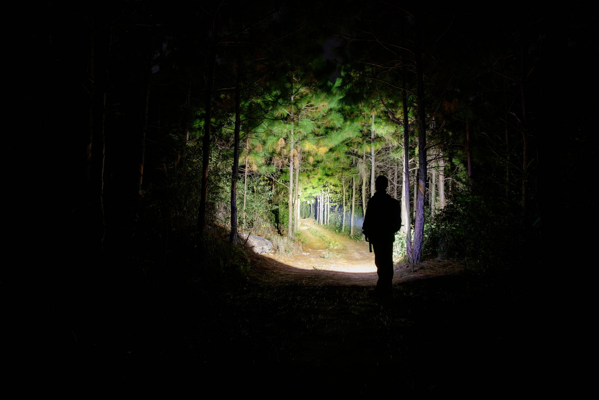 Ein Mensch steht nachts auf einem Waldweg, von einer Taschenlampe beleuchtet. Die Bäume sind im Schein des Lichts sichtbar.