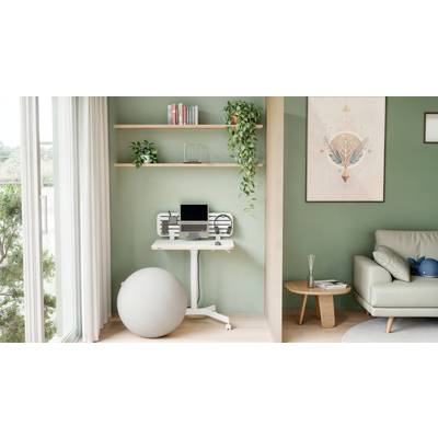 Ein moderner, heller Raum mit grünem Akzent. Ein kleiner Schreibtisch mit Laptop, Bücherregal und Dekoration. Gymnastikball als Sitzgelegenheit.