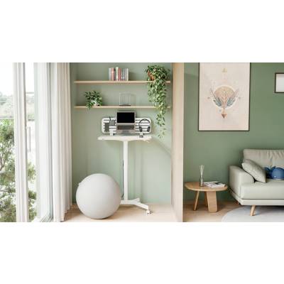 Stehpult mit Laptop und Monitor im minimalistischen Zimmer mit grünen Wänden, Pflanzen und Sitzball, neben einem Fenster mit Tageslicht.