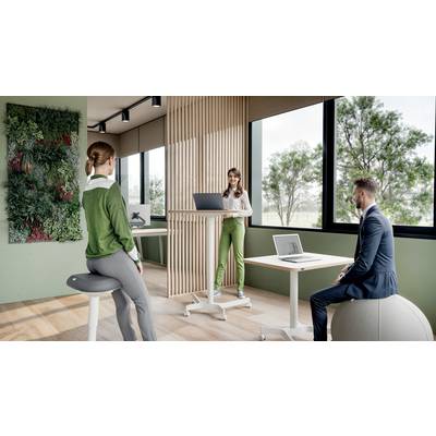 Zwei Personen sitzen und eine steht an einem Stehpult in einem modernen, hellen Büro mit Pflanzenwand und großen Fenstern.
