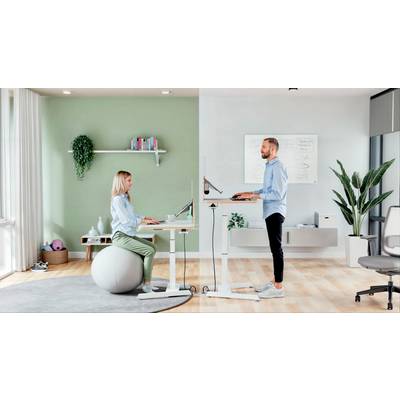 Eine Frau und ein Mann arbeiten in einem ergonomischen Büro. Sie sitzt auf einem Gymnastikball, er steht an einem höhenverstellbaren Schreibtisch.