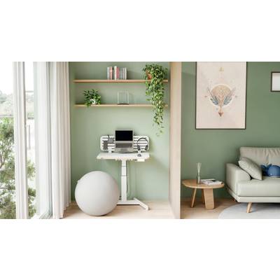 Ein moderner, gemütlicher Raum mit grün gestrichener Wand, einem Schreibtisch mit Laptop, gedecktem runden Sitzball und dekorativem Wandbild.