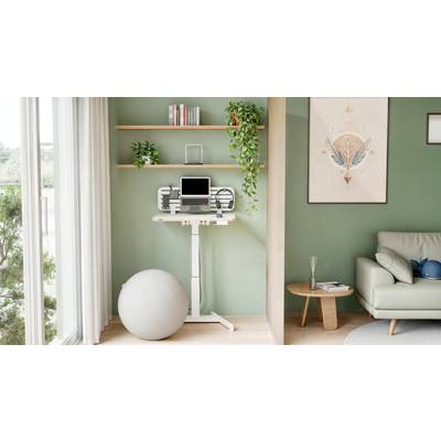 Ein modern eingerichtetes Home Office mit grün gestrichenen Wänden, einem höhenverstellbaren Tisch, Laptop und Dekorationen.