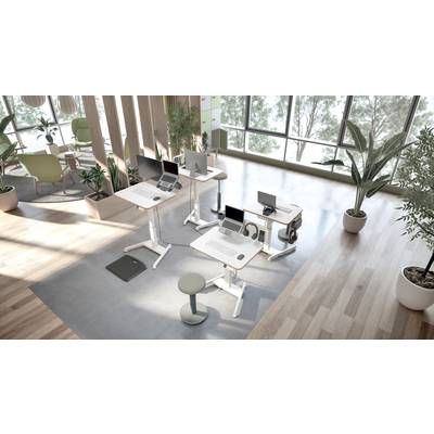 Moderne Büroumgebung mit höhenverstellbaren Schreibtischen und Laptops, umgeben von großen Fenstern und Pflanzen, die eine helle Atmosphäre schaffen.