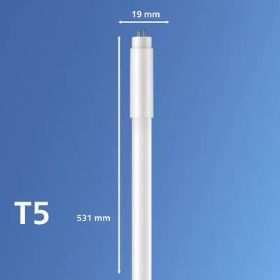Eine T5-Leuchtstoffröhre vor blauem Hintergrund. Sie ist 531 mm lang und 19 mm im Durchmesser, was mit Pfeilen markiert ist.
