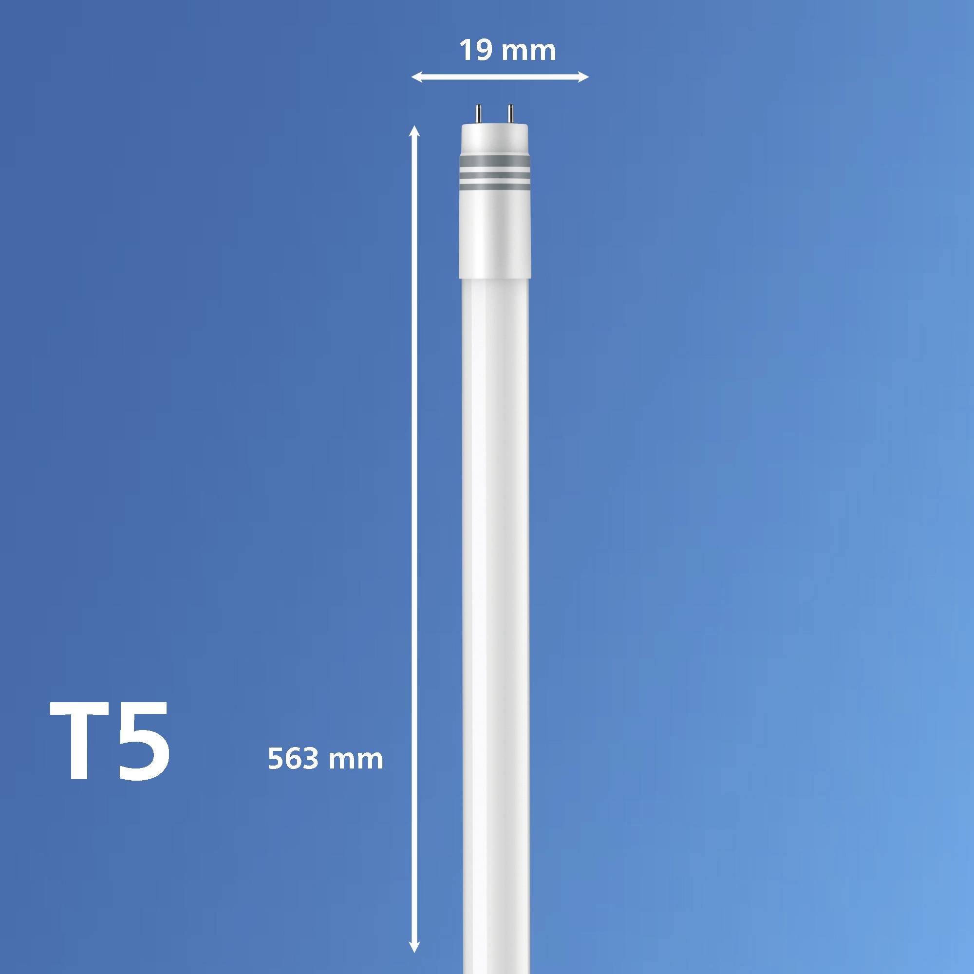 T5-Leuchtstoffröhre mit 19 mm Durchmesser und 563 mm Länge vor blauem Hintergrund.