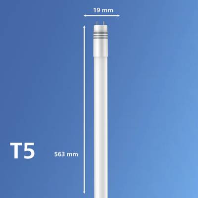 T5-Leuchtstoffröhre mit 19 mm Durchmesser und 563 mm Länge vor blauem Hintergrund.