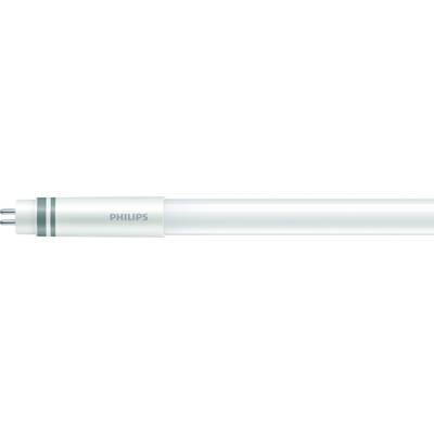 Eine Leuchtstoffröhre mit der Aufschrift 'Philips', sichtbar sind die Stifte zum Einstecken in eine Fassung, vor weißem Hintergrund.
