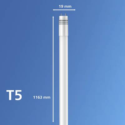 Leuchtstoffröhre T5 vor blauem Hintergrund, Länge 1163 mm, Durchmesser 19 mm.