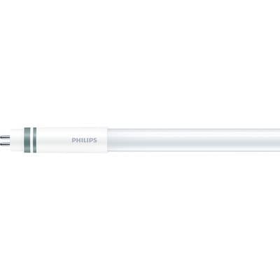 Weiße Leuchtstoffröhre der Marke Philips mit zwei Metallstiften an einem Ende, horizontal ausgerichtet.
