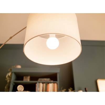 Stehlampe mit cremefarbenem Lampenschirm, darunter ein Regal mit Büchern und Dekor gegen eine petrolblaue Wand.