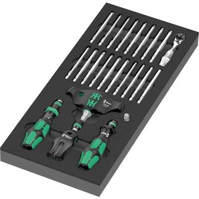 Schraubendreher-Set mit mehreren Bits in schwarzem Schaumstoff-Organizer. Enthält verschiedene Schraubendreherarten und -größen.