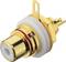 'Goldener RCA-Anschluss mit rotem Ring und weißer Isolierung; wird verwendet für Audio- und Videoverbindungen.'