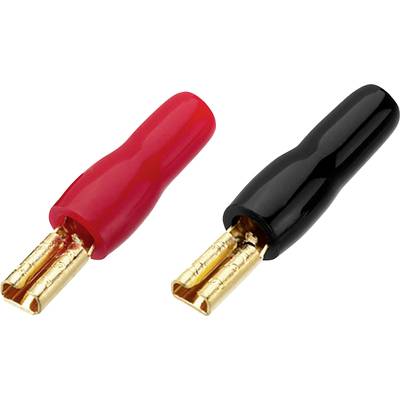 Zwei Bananenstecker, einer rot und einer schwarz, die üblicherweise für elektrische Verbindungen in Lautsprechersystemen verwendet werden.