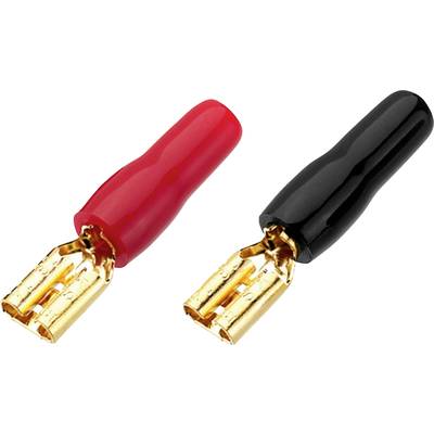 Zwei Bananenstecker, einer in Rot und einer in Schwarz, nebeneinander. Sie sind häufig in Audio- und Elektronikverbindungen verwendet.