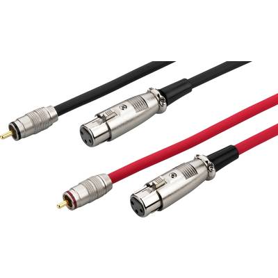 Zwei Kabel mit XLR- und RCA-Steckern, eines schwarz, das andere rot. Sie dienen zur Audioverbindung zwischen Geräten.