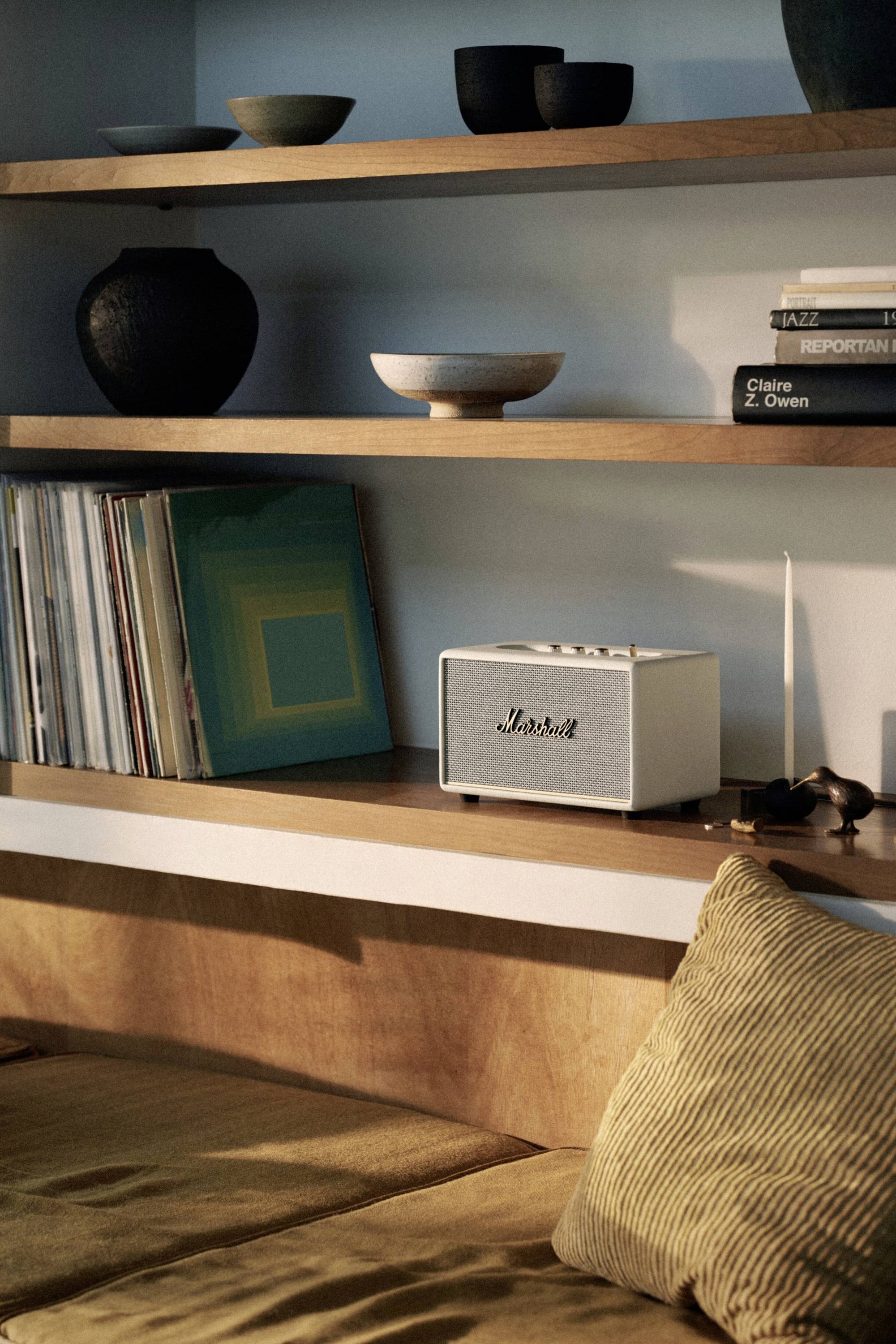 'Regal mit Schallplatten, Lautsprecher und Keramikschalen in einem Wohnzimmer. Bequeme Couch im Vordergrund. Gemütliche Atmosphäre.'