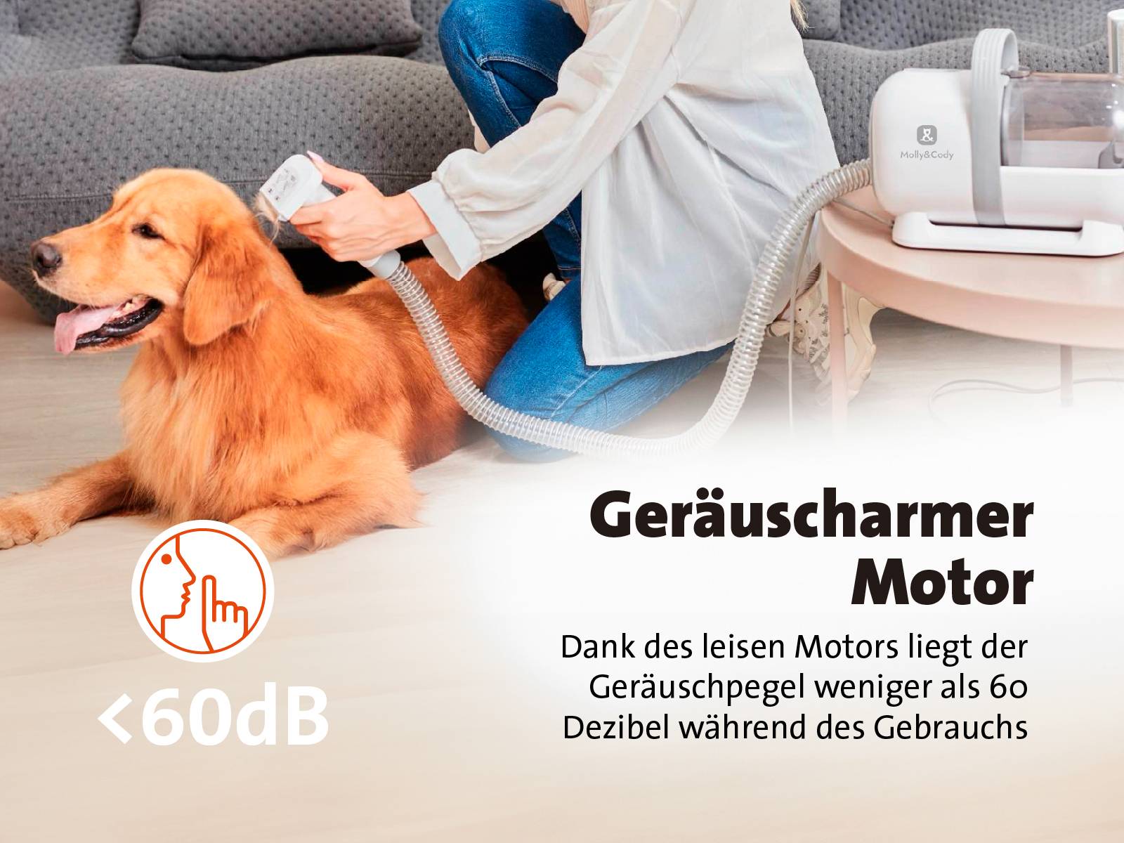 'Ein Hund wird mit einem leisen Staubsauger gebürstet, der Geräuschpegel liegt unter 60 Dezibel. Der Staubsauger liegt auf dem Boden.'