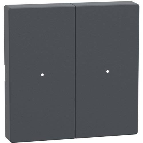 Schneider Electric MTN625214 SPS-Zubehör