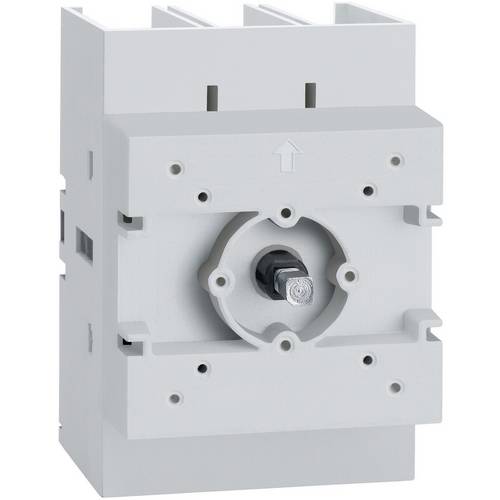 Schneider Electric VLS3P063D2 Lasttrennschalter 1 St.