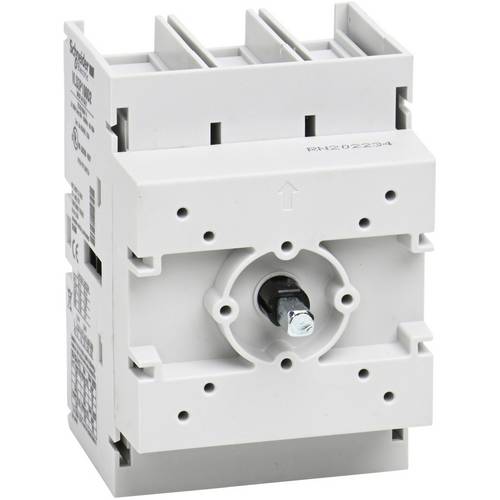 Schneider Electric VLS3P100D2 Lasttrennschalter 1 St.